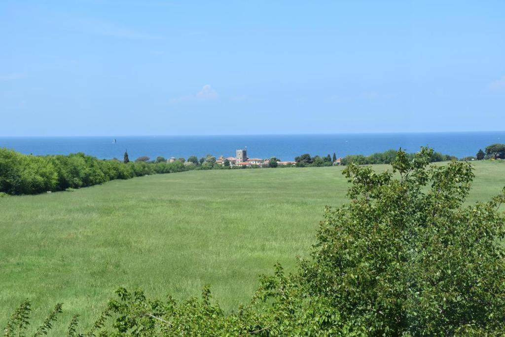 Apartmani Ritosa Novigrad Istria Exteriör bild